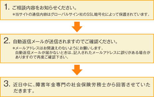 障害年金のサポートに含まれるもの図