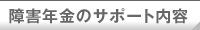 障害年金のサポート内容